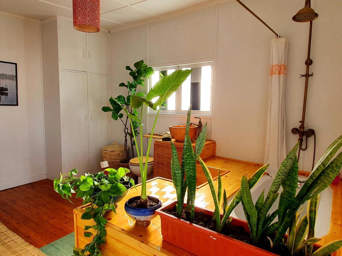 Houseboat65 - Historic Home On The Nile - Central Caïro Buitenkant foto