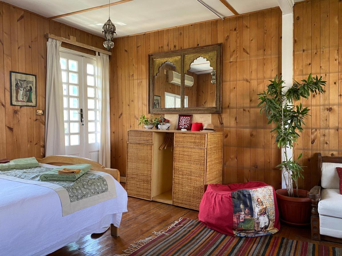 Houseboat65 - Historic Home On The Nile - Central Caïro Buitenkant foto
